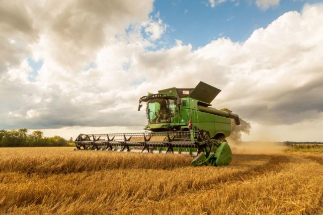Combine harvest wheat UK_©DAVID - STOCK-ADOBE.COM_e.jpg