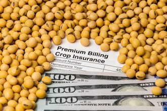 soybeans crop insurance_©JJ GOUIN - STOCK.ADOBE.COM_e.jpg