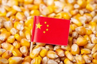Corn China flag_©VITALII - STOCK.ADOBE.COM_e.jpg