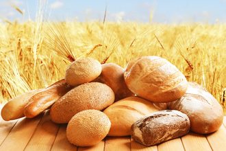 bread wheat field_©AFRICA STUDIO - STOCK-ADOBE.COM_e.jpg