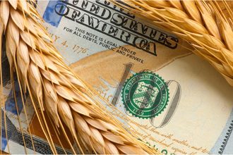 wheat dollar money_©YURIY KORZHENEVSKYY - STOCK.ADOBE.COM_e.jpg