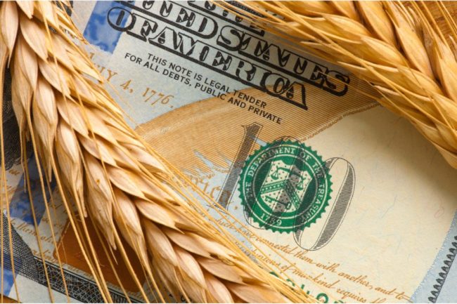 wheat dollar money_©YURIY KORZHENEVSKYY - STOCK.ADOBE.COM_e.jpg