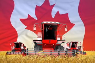 Canada wheat illustration_©DANCING MAN - STOCK-ADOBE.COM_e.jpg