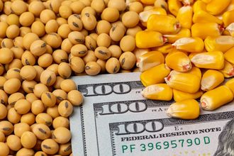 Soybeans corn money prices inflation economy_©JJ GOUIN - STOCK.ADOBE.COM_e.jpg