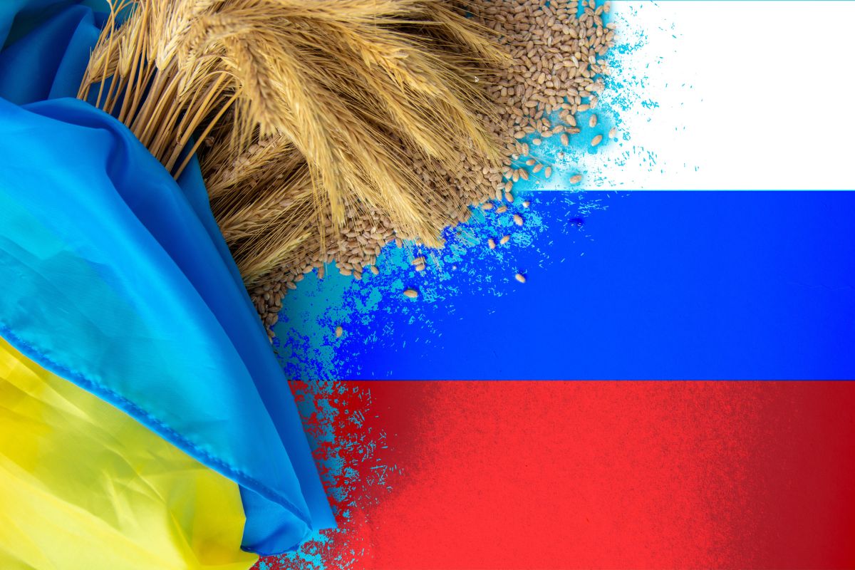 Ukraine Russia flags wheat_©ROMANWHALE STUDIO_e.jpg