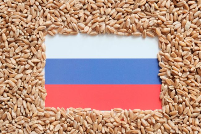 Russia flag wheat_©SVETLANA - STOCK.ADOBE.COM_e.jpg