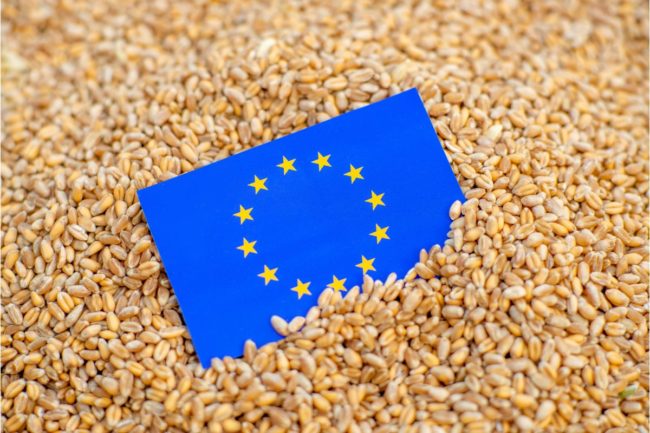 EU flag wheat_©KONSTIANTYN ZAPYLAIE - STOCK.ADOBE.COM_e.jpg