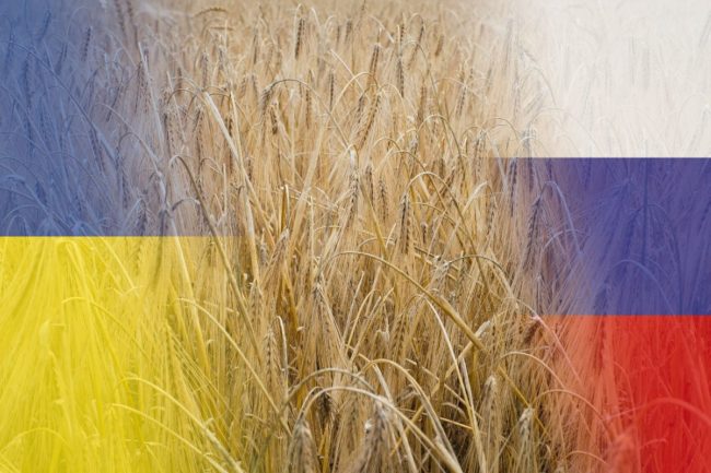 Ukraine Russia flags barley_©CLOUDY DESIGN - STOCK.ADOBE.COM_e.jpg