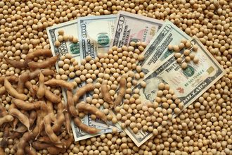 soybeans money economy_©SIMA - STOCK.ADOBE.COM_e.jpg