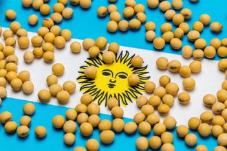 Argentina flag soybeans_©JJ GOUIN - STOCK.ADOBE.COM_e.jpg