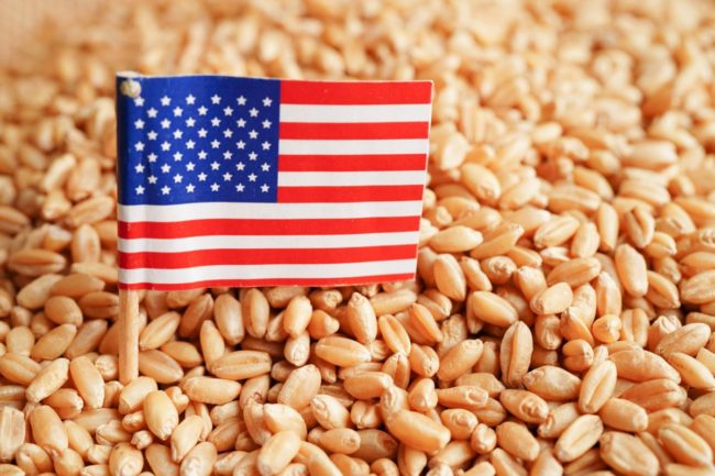 United States flag grain wheat_©MANASSANANT - STOCK.ADOBE.COM_e.jpg