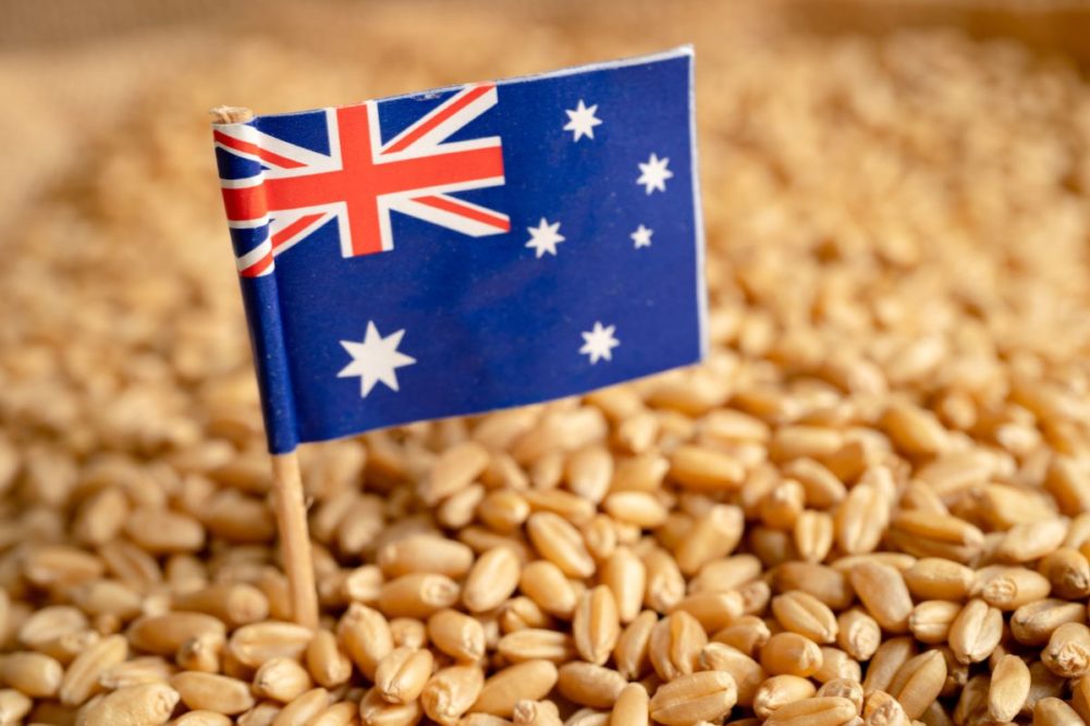 Grains Australia takes on Pulse Australia operations | World Grain