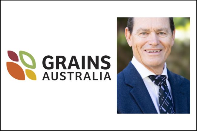 Grains Australia_Andrew Young_chair_©GRAINS AUSTRALIA_e.jpg