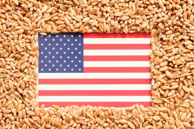 US flag wheat grain_©SVETLANA - STOCK.ADOBE.COM_e.jpg