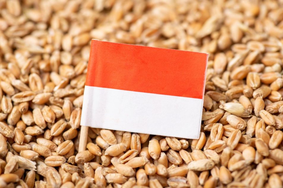 Impor gandum Indonesia akan kembali meningkat pada tahun 2023-24