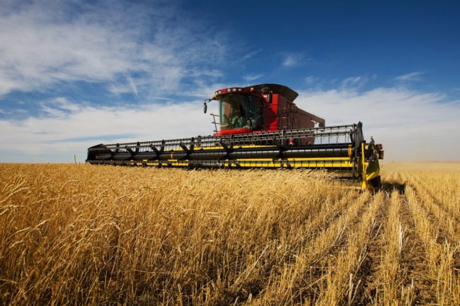wheat harvest combine_©SLY - STOCK.AODBE.COM_e.jpg