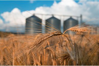 wheat field_grain storage_©DEYANA - STOCK.ADOBE.COM_e.jpg