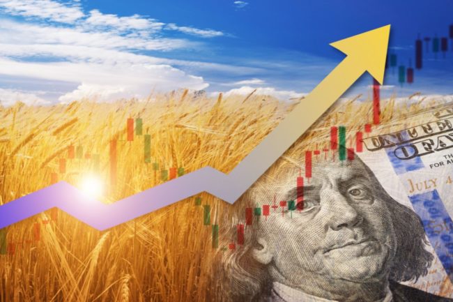 wheat_markets_economy_©VIKTOR - STOCK.ADOBE.COM_e.jpg