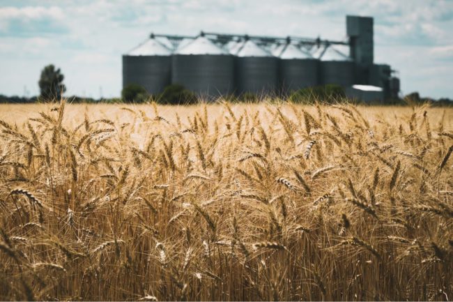 Grain elevator storage wheat field_©SERGII MOSTOVYI - STOCK.ADOBE.COM_e.jpg