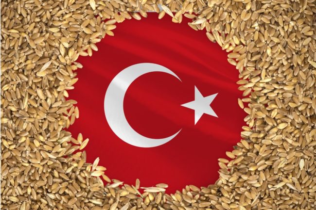 Turkey flag wheat grain_©PREHISTORIK - STOCK.ADOBE.COM_e.jpg