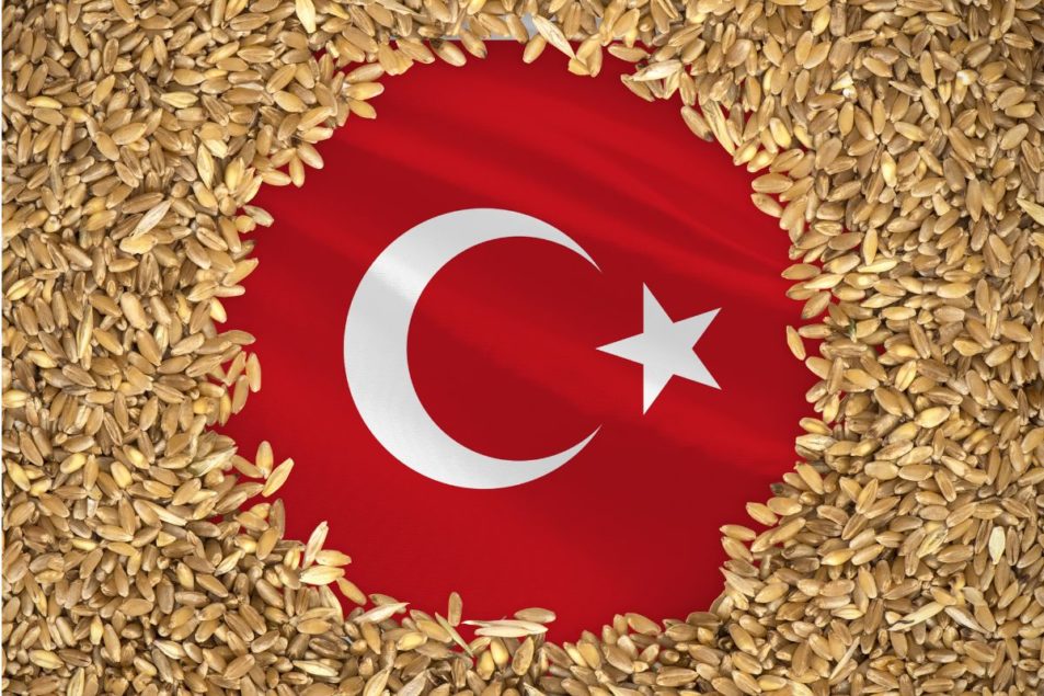 Türkiye'nin tahıl ithalatında düşüş bekleniyor
