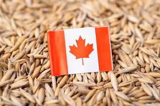 Canada flag oats_©VITALII - STOCK.ADOBE.COM_e.jpg