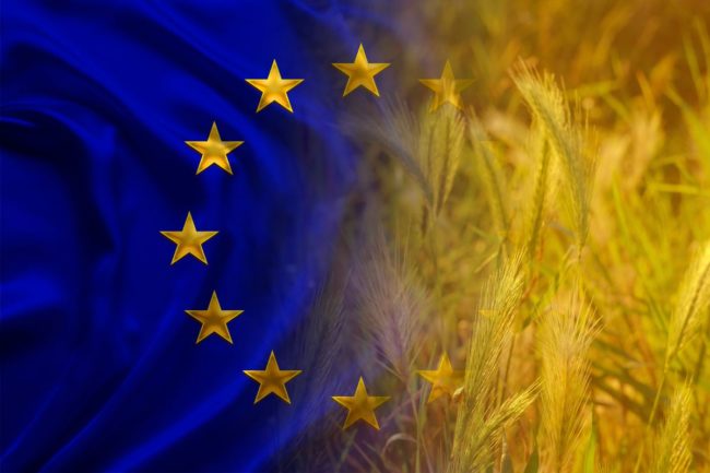 UE flag wheat_©KITTYFLY - STOCK.ADOBE.COM_e.jpg
