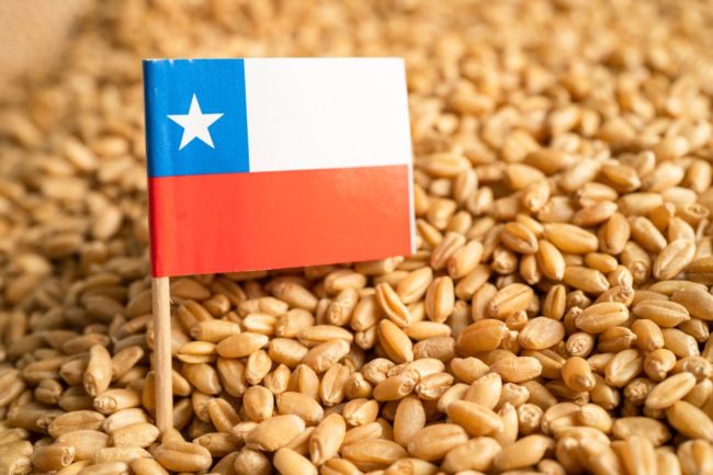 Chile flag_wheat_©AMAZING STUDIO - STOCK.ADOBE.COM_e.jpg