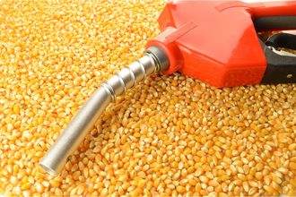 corn ethanol_©MATTHEW BENOIT - STOCK.ADOBE.COM_e.jpg