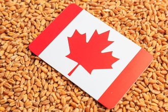 Canada flag grain wheat_©LURII GAGARIN - STOCK.ADOBE.COM_e.jpg