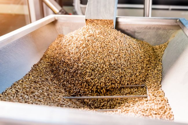 malt seeds processing grain_©ROMASET - STOCK.ADOBE.COM_e.jpg