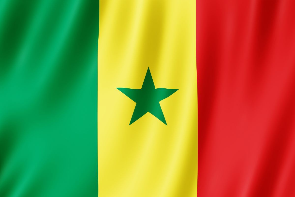 Senegal flag_©MD3D - STOCK.ADOBE.COM_e.jpg