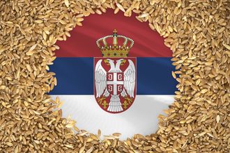 Serbia flag wheat_©PREHISTORIK - STOCK.ADOBE.COM_e.jpg