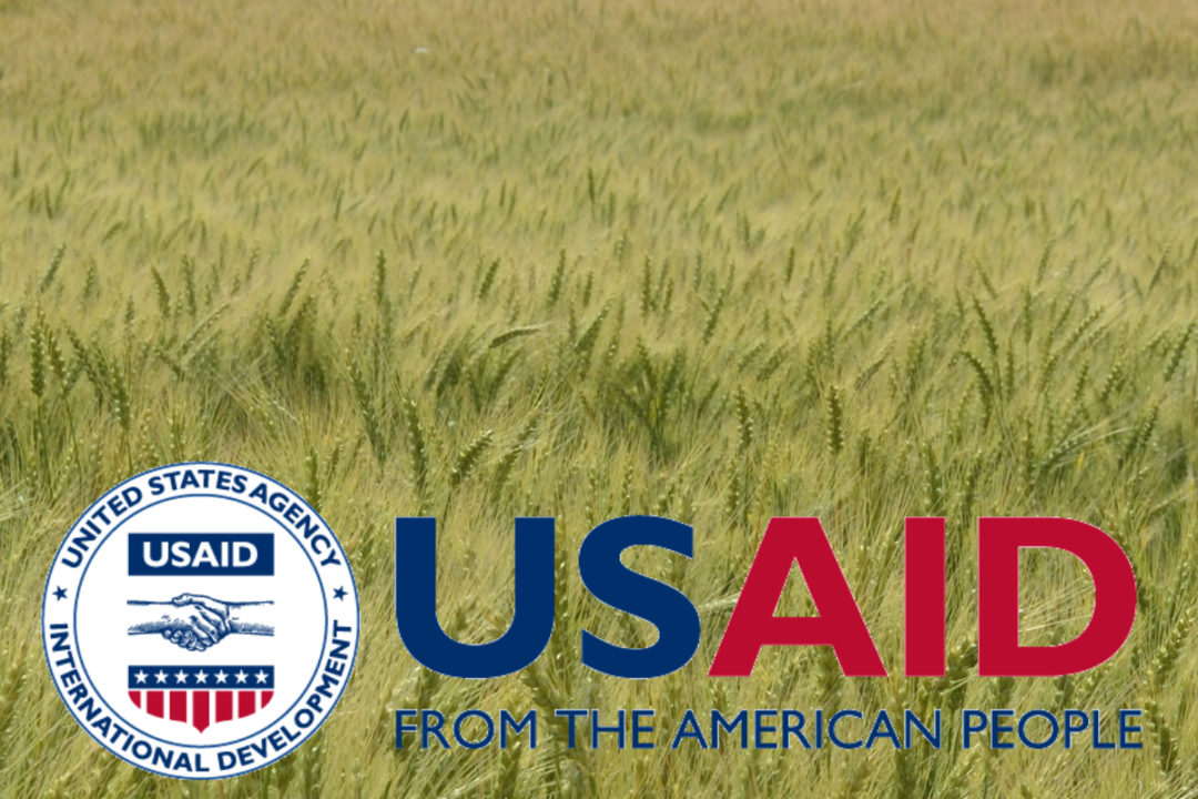 USAID wheat aid