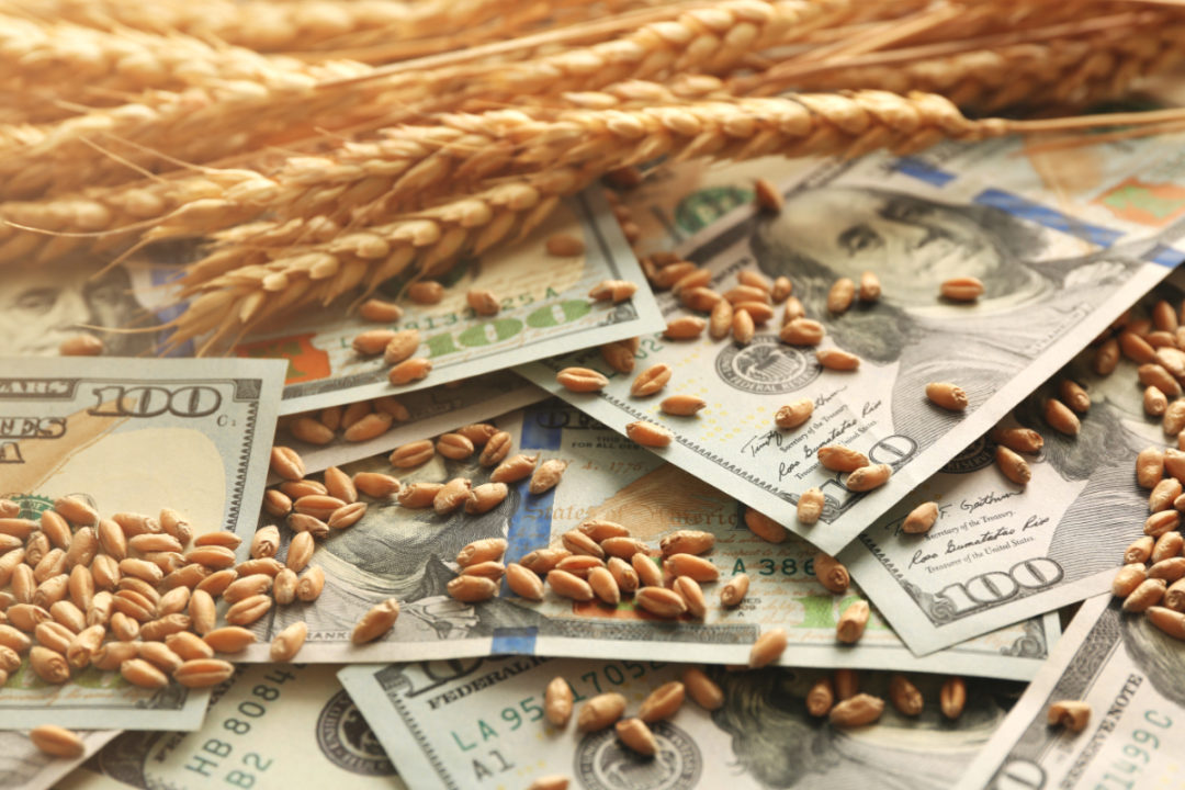 grain money