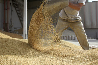 Grain moving adobestock 26233990 e