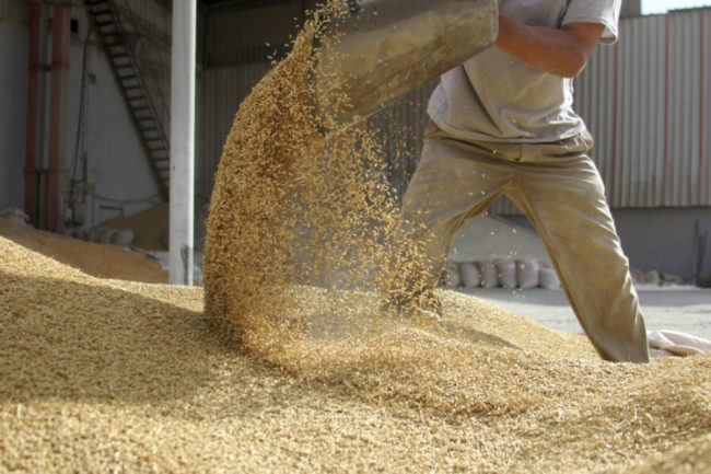 grain movement