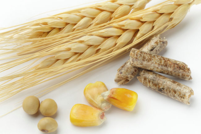 wheat corn soy feed