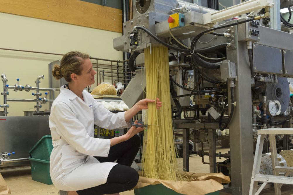 Cigi pasta production
