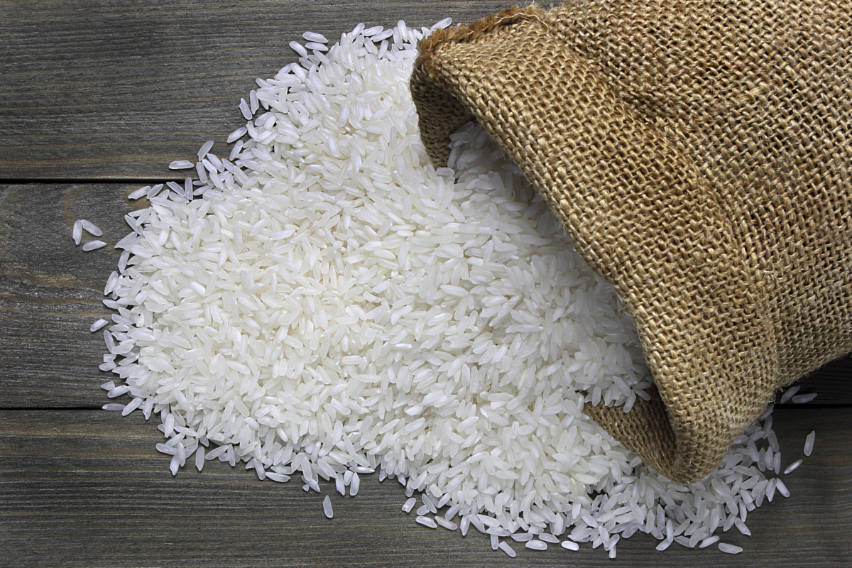  Rice  output forecast lower in South  Korea  2022 12 04 
