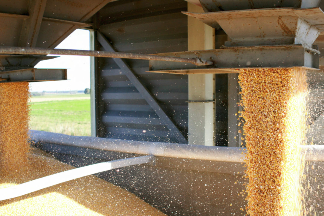 grain storage and handling