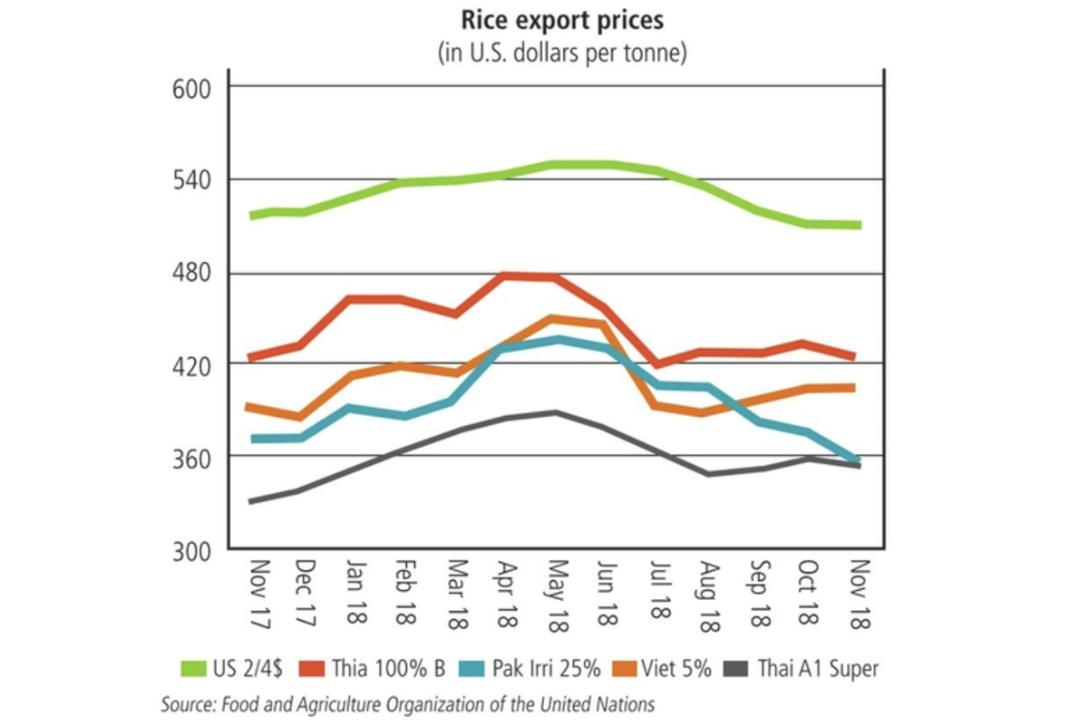 rice exports