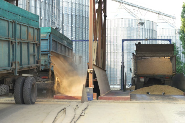 grain transportation via truck