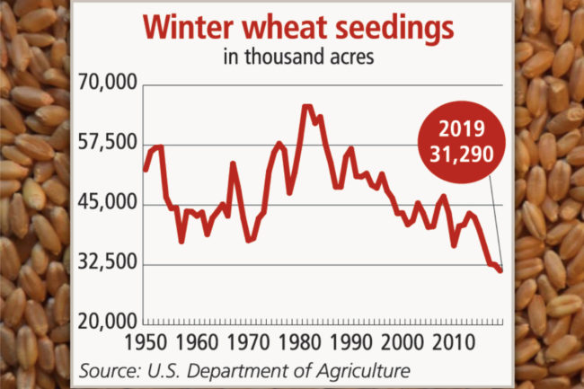 Wheat seeding chart