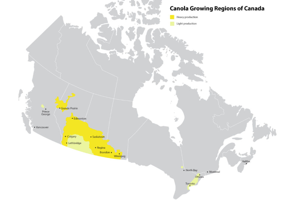 canola growing regions in Canada