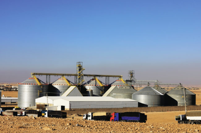Al-Hasad maize mill