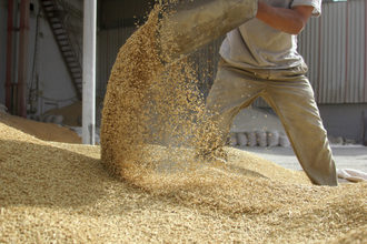 Grain moving adobestock 26233990 e