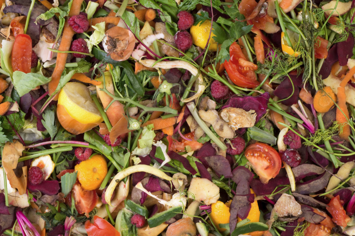 European Commission implements new food waste policy ...