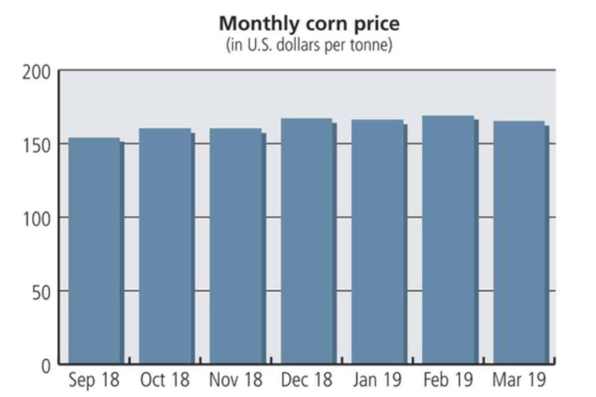 Corn Daily Price Chart