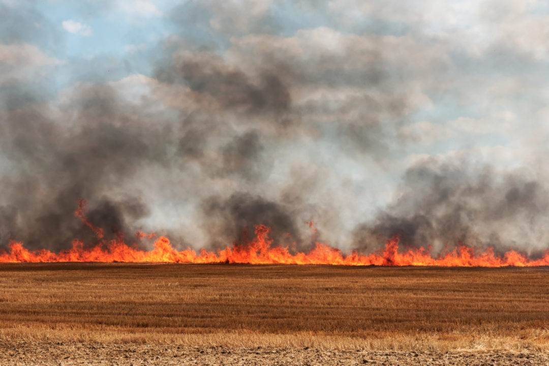 wheat field on fire